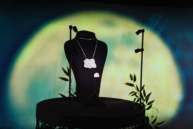 Pasquale Bruni Rosina