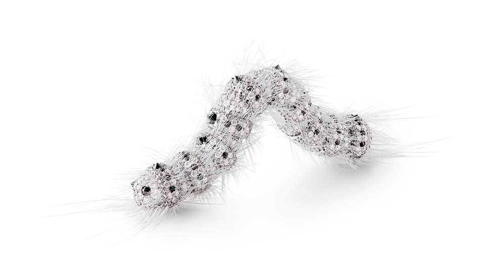 Boucheron Impermanence