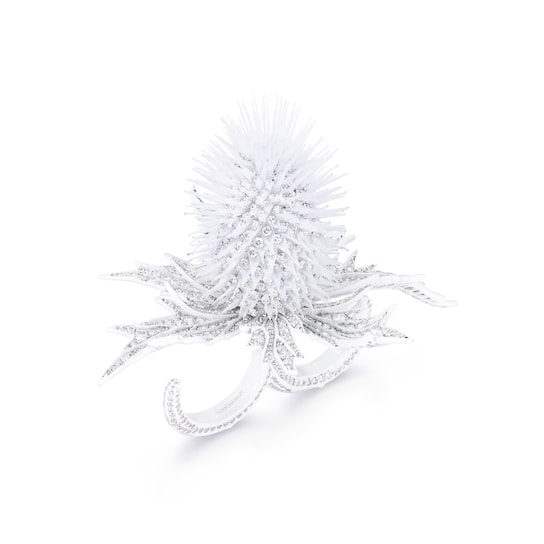 Boucheron Impermanence